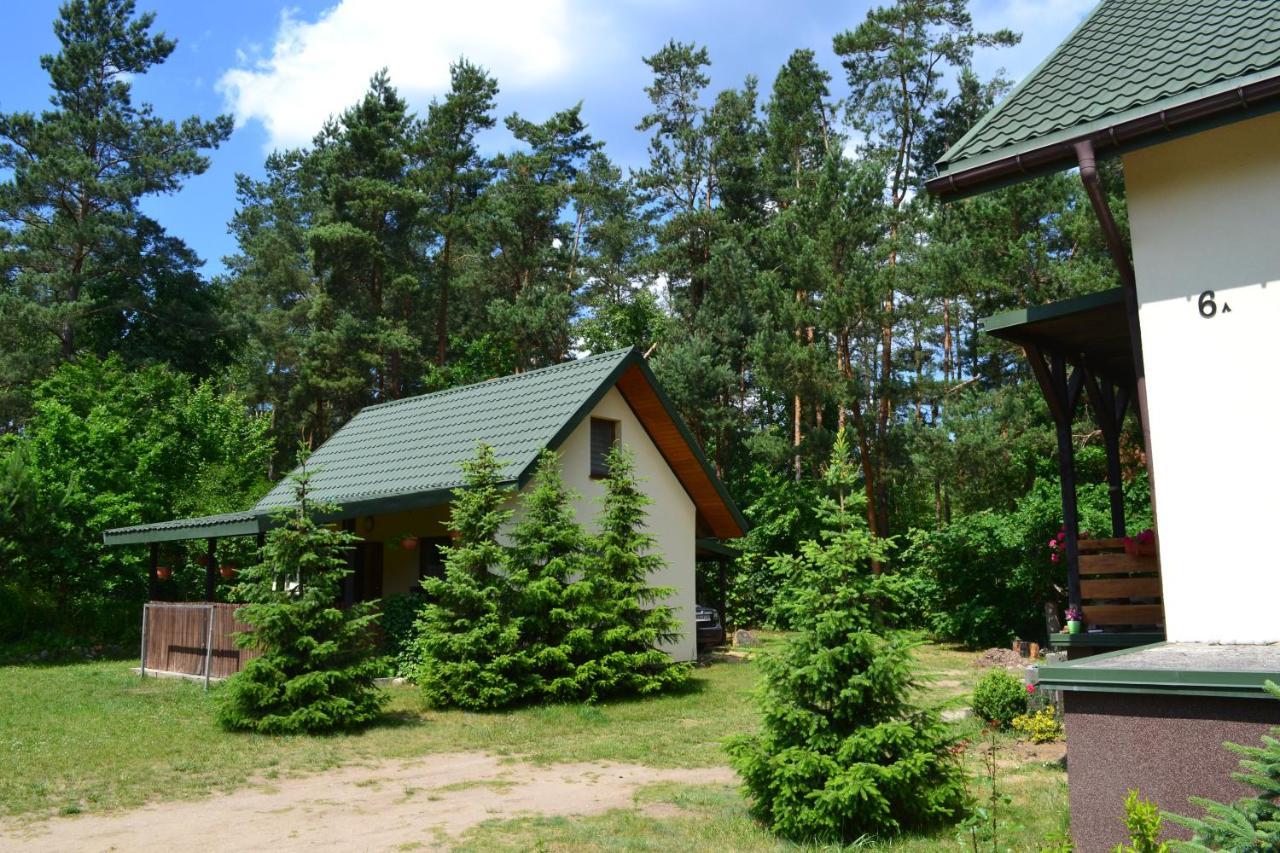 Domek w Sajenku Augustów Zewnętrze zdjęcie